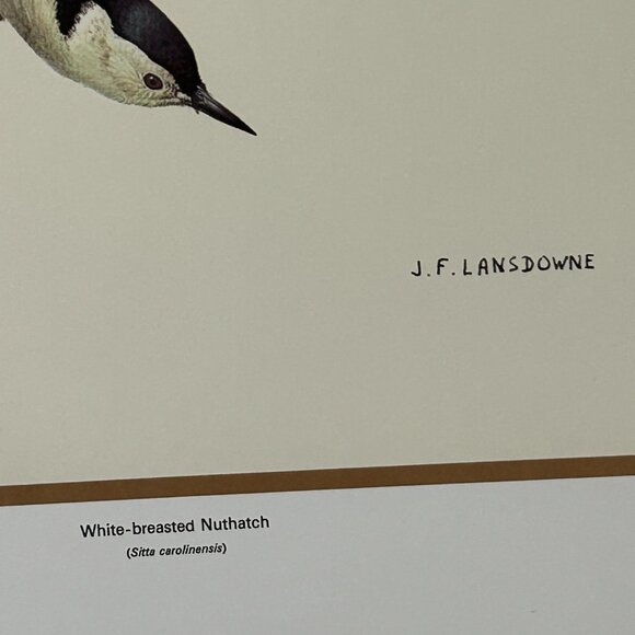 Vintage 1970 & 1971  Calendar Prints J.F. Lansdowne Birds - Picture 5 of 9